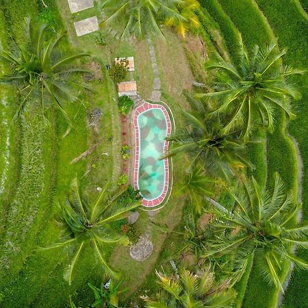 Pesona Bali Ecolodge By Agata Jatiluwih Eksteriør bilde