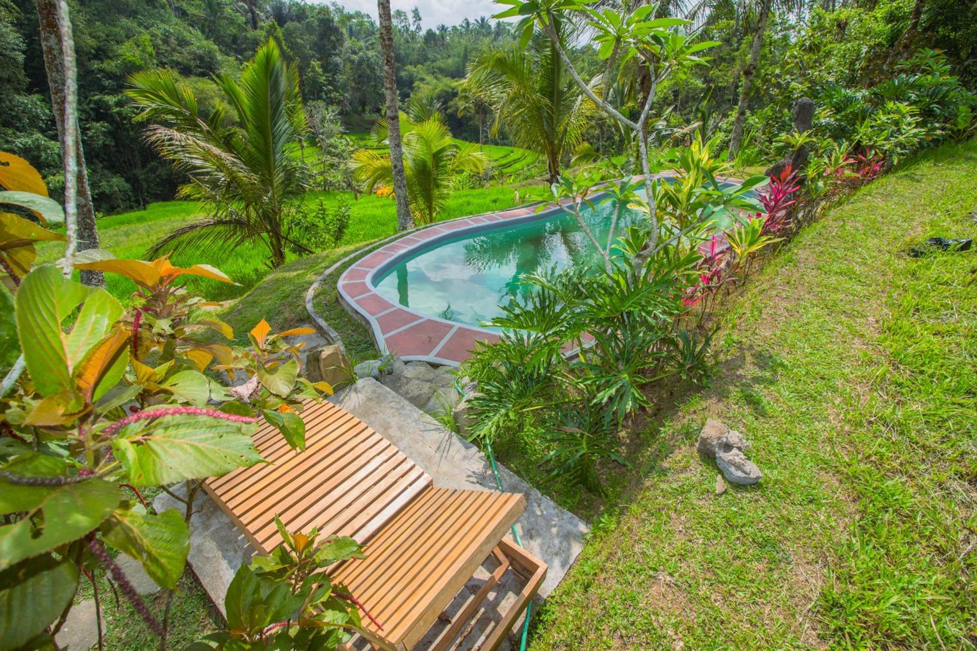 Pesona Bali Ecolodge By Agata Jatiluwih Eksteriør bilde