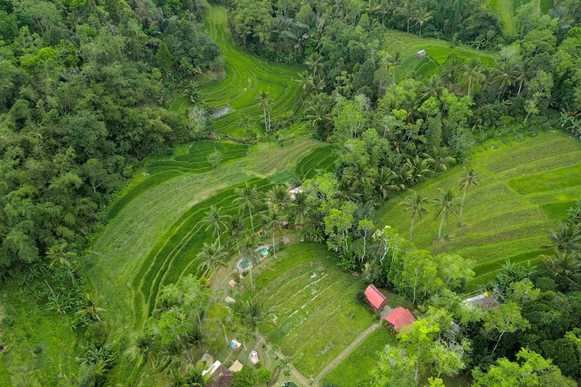 Pesona Bali Ecolodge By Agata Jatiluwih Eksteriør bilde