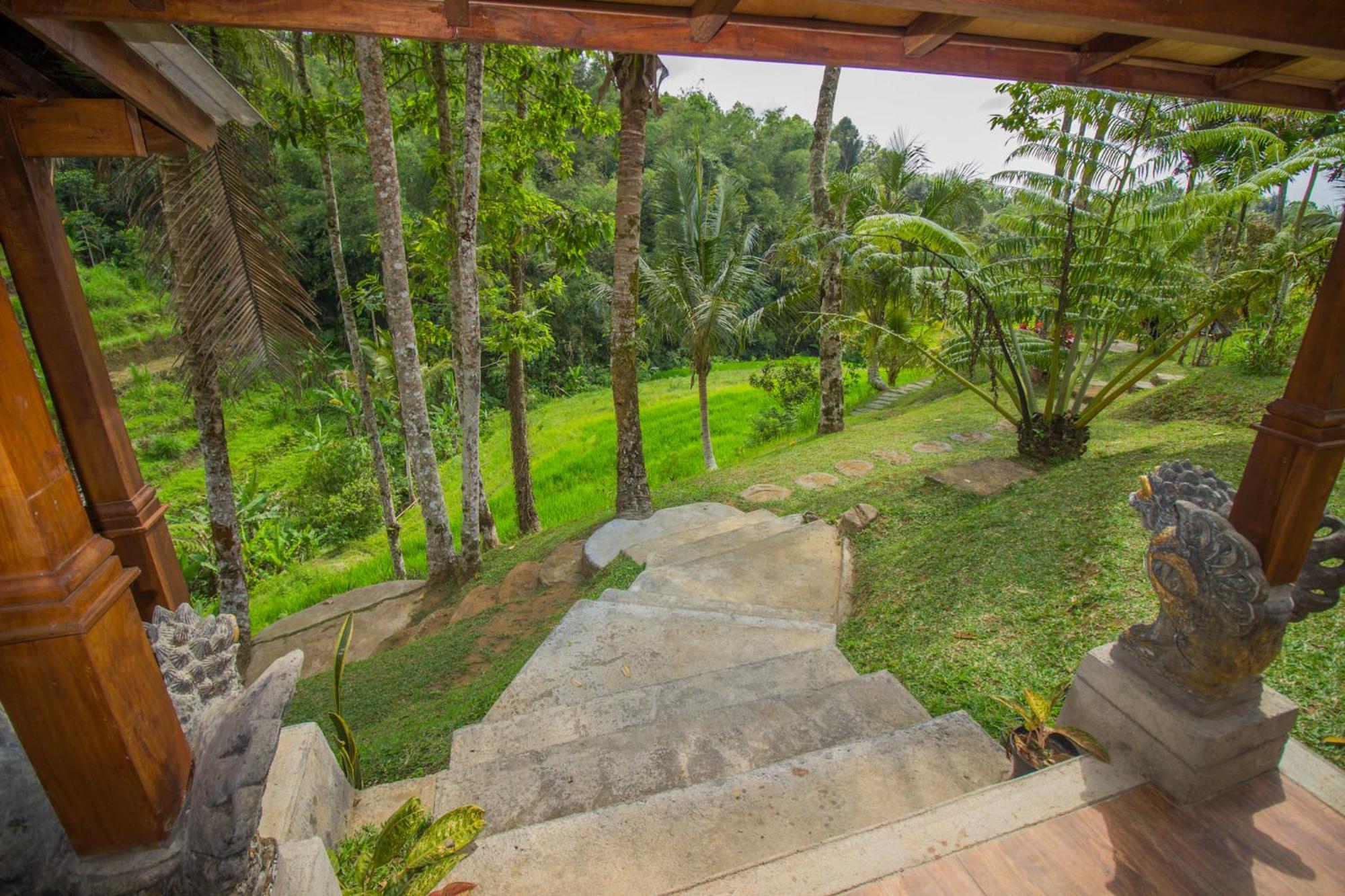 Pesona Bali Ecolodge By Agata Jatiluwih Eksteriør bilde