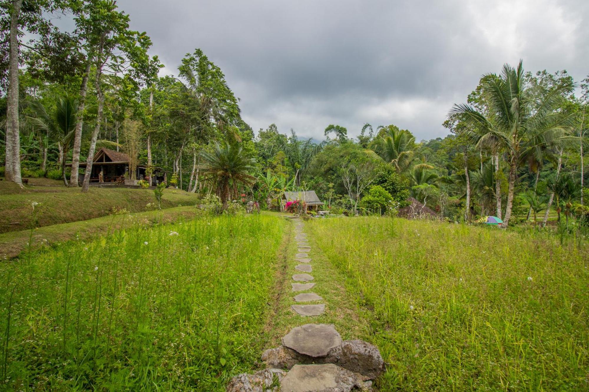 Pesona Bali Ecolodge By Agata Jatiluwih Eksteriør bilde
