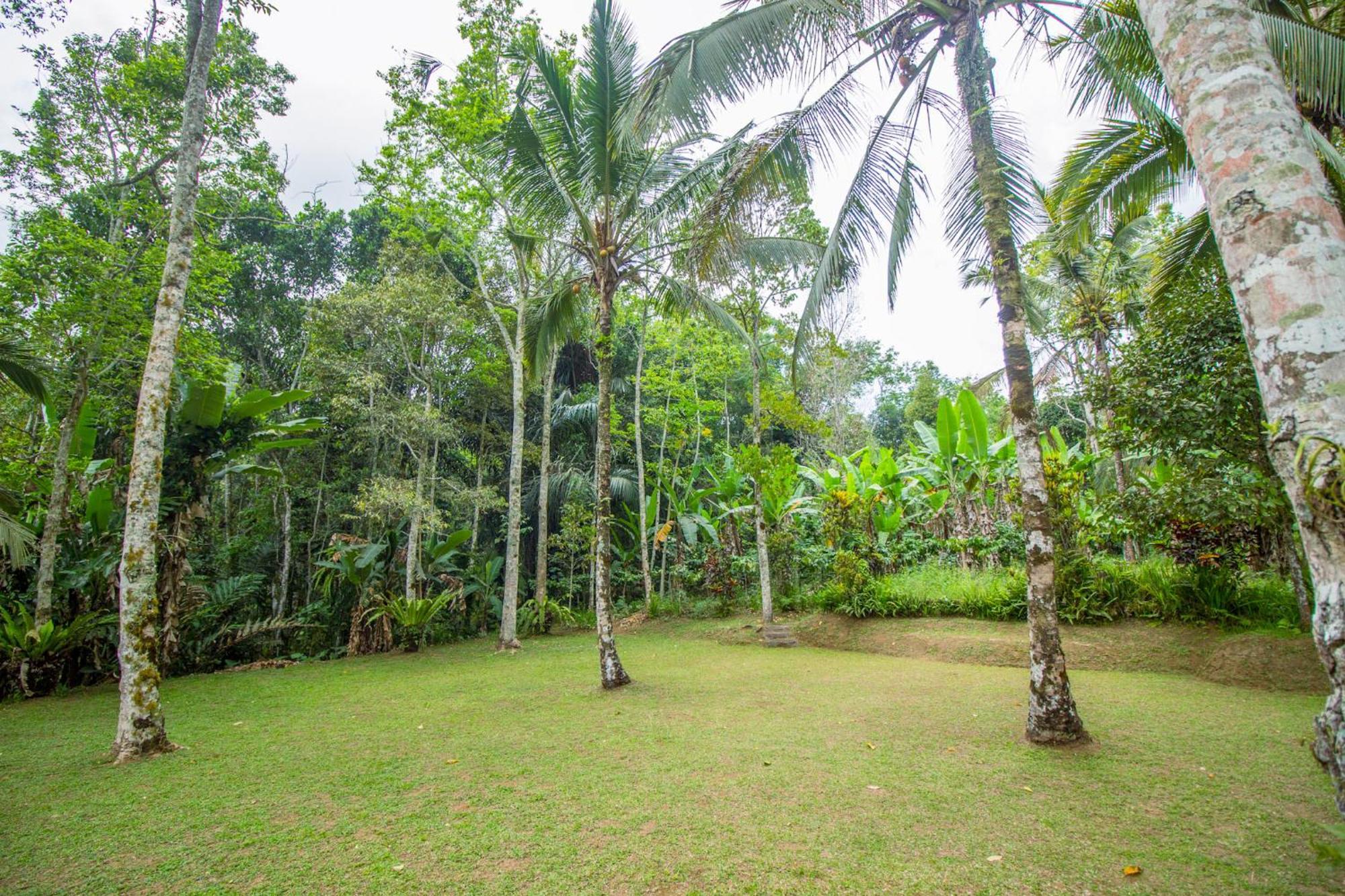 Pesona Bali Ecolodge By Agata Jatiluwih Eksteriør bilde
